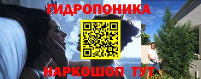 Альфа ПВП Ставрополь